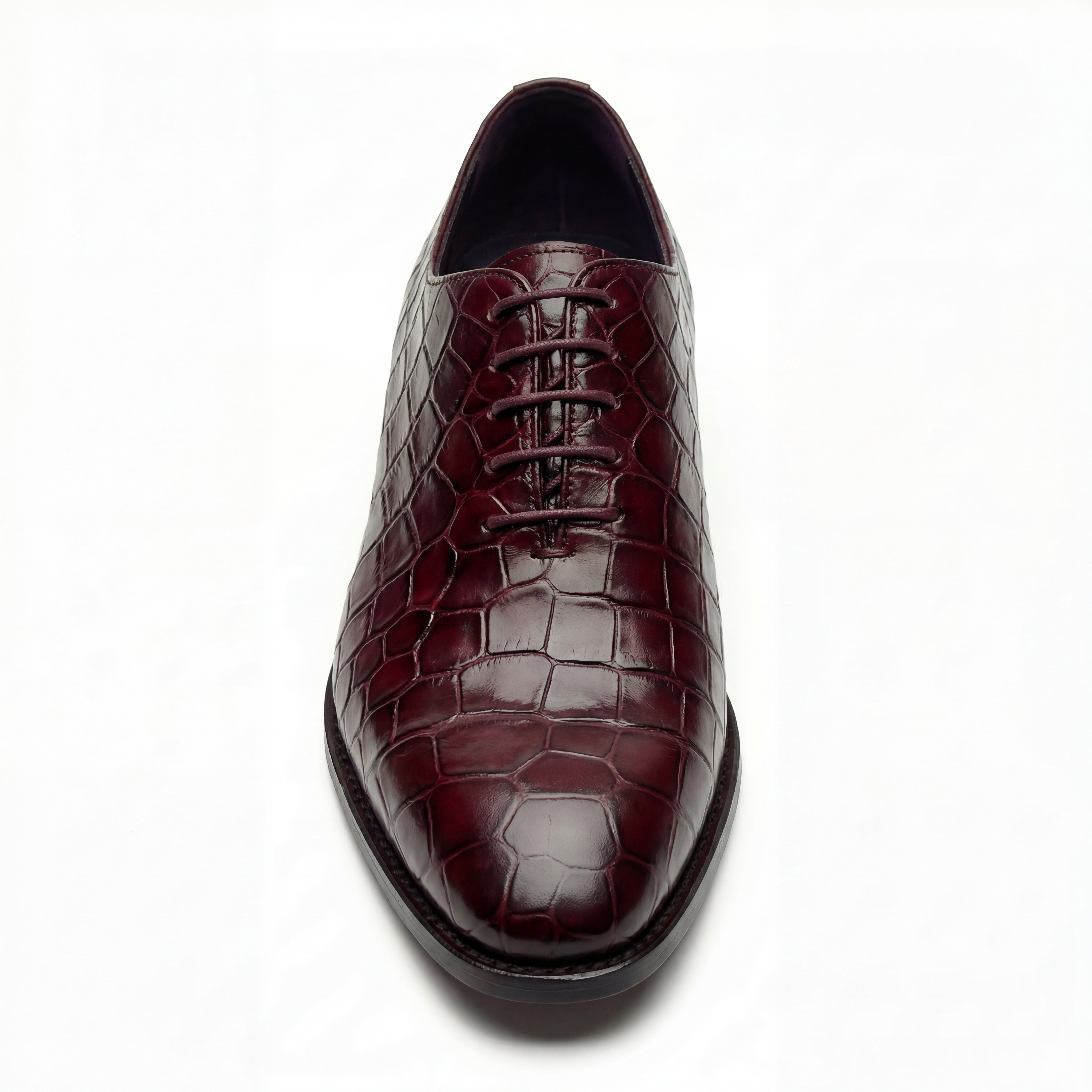 An Exotic Alligator Whole cut – Alexander Noel An Exotic Alligator Whole cut – Alexander Noel