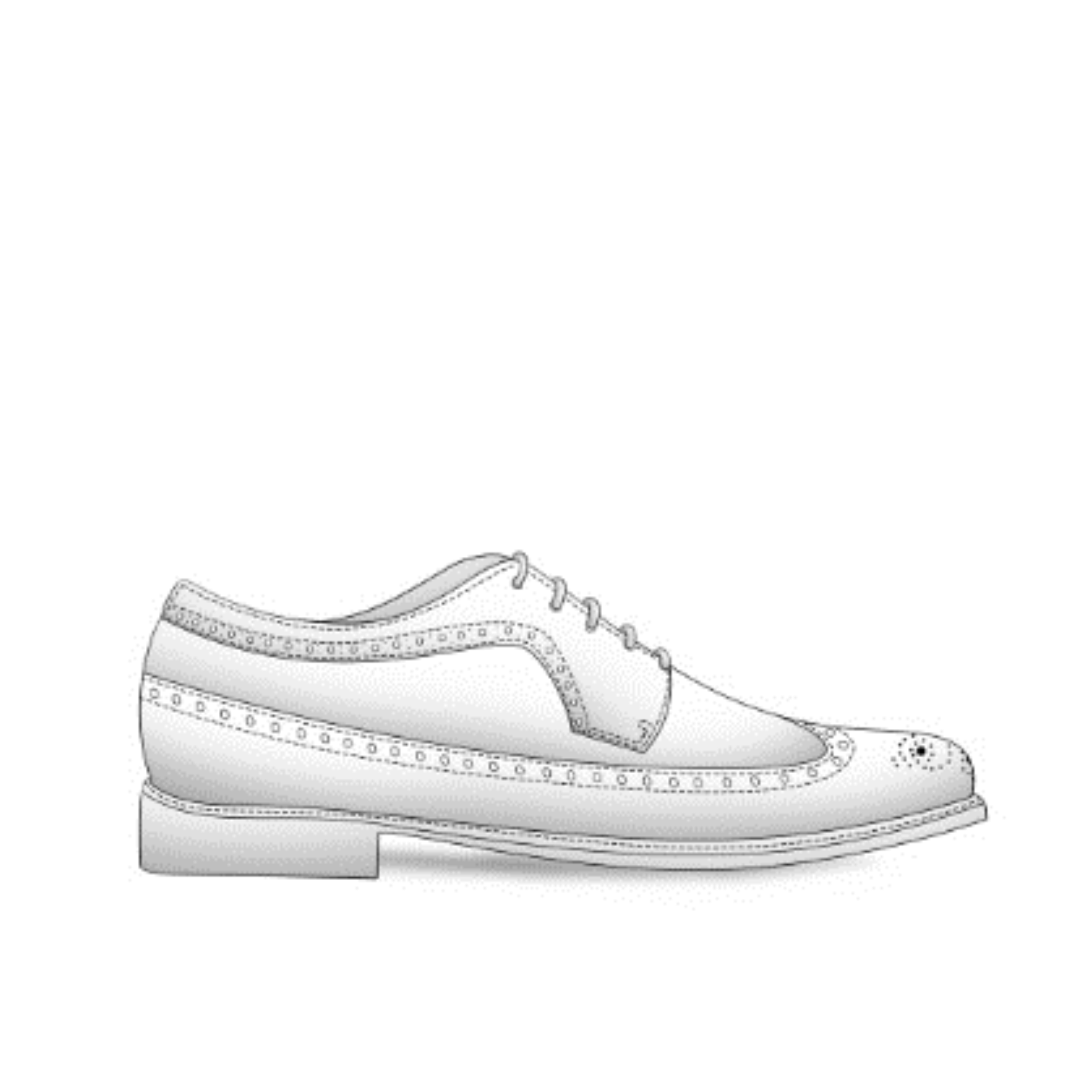 Longwingtip